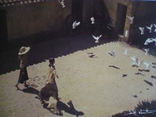 Carte Postale   DAVID