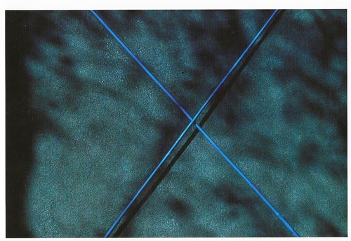 Postcard charles ray - ray, eames