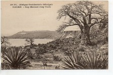 SENEGAL - Old Postcard - DAKAR - Cap Manuel - Cap Vert