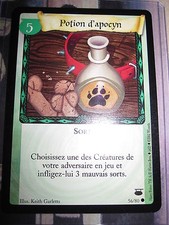 HARRY POTTER TCG CHEMIN DE