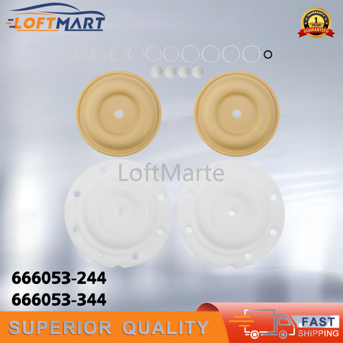 Diaphragm pump repair kit for - diaphragm,
