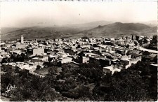 CPA AK NEDROMA Vue Generale ALGERIA (1389157)