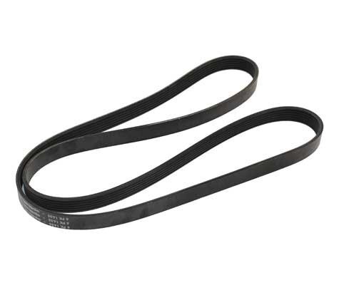 Courroie accessoires pour - courroie, d'accessoires