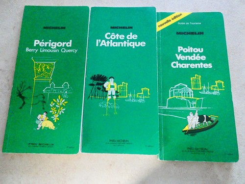 Lot guides vert michelin - vert,