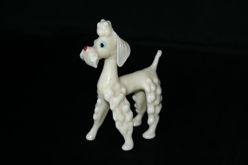 Chien caniche opaline - chien,