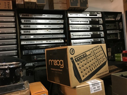 Moog rack minimoog voyager - moog,