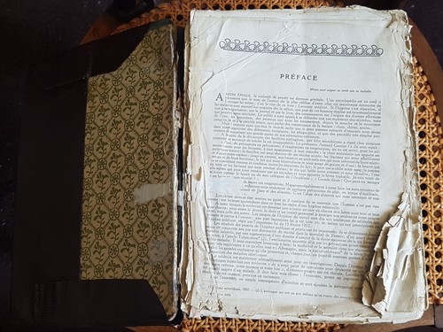 Larousse médical livre - médical,