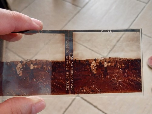 Plaque verre stereoscopique - plaque,
