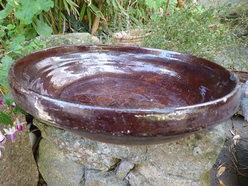 Bretagne grand plat terre - plat, en