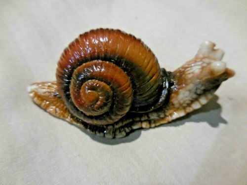 Escargot bourgogne - escargot,