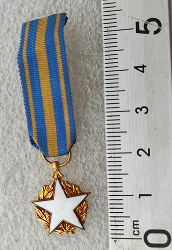 Medaille miniature des blesses - des,
