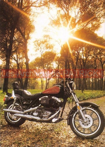 Harley davidson low rider - low,