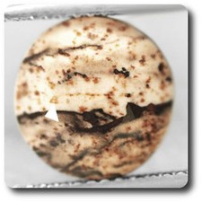 Minéraux et pierres