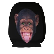 Coquin Singe Modèle Housse