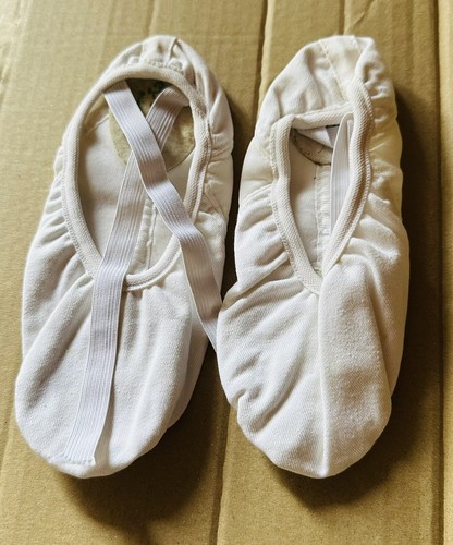 Repetto demi pointe t031y - repetto,