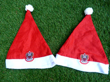 Lot 2 Bonnets de Noel brodés