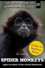Spider Monkeys: Agile Acrobats