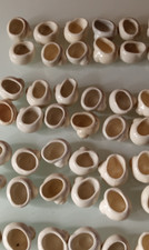 Lot  de 48  coquilles