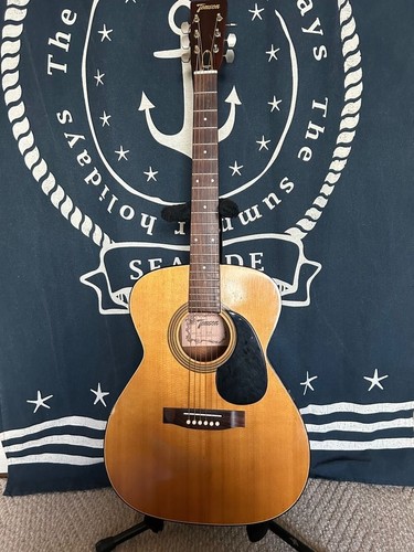 Tomson acoustic guitar 18 - acoustic,