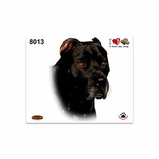 Autocollants Cane Corso 14 X