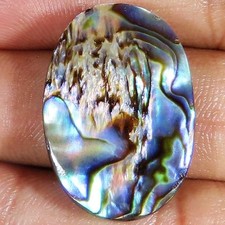 Naturel Coquille D'Ormeau Cabochon 43.35 Cts Forme Ovale 21x30x6 MM Gemmes RR45