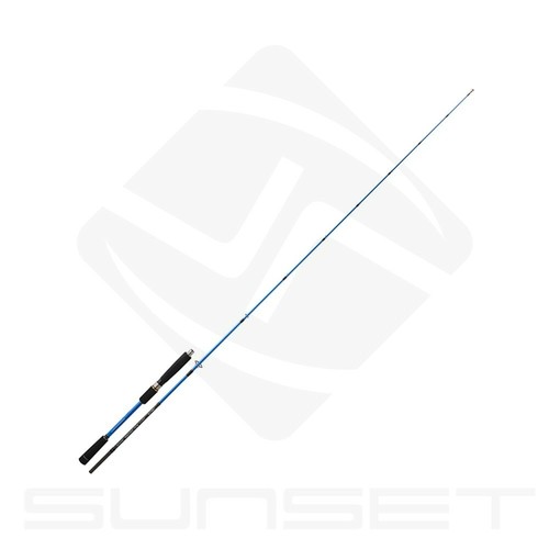 Canne pêche 10m 15 - à, 15/60g