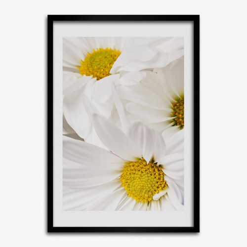 Photo salon 50x70cm cadre - le,