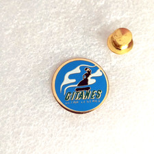 Pin's lapel pin Enamel pins