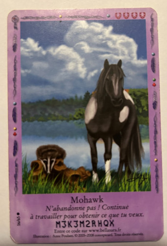 Carte bella sara mohawk - mohawk, 16/65