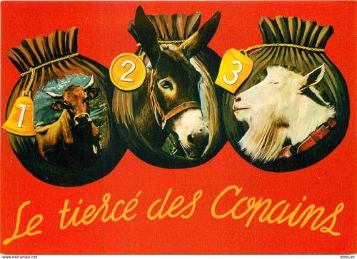 Carte postale animaux - animaux,