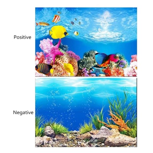 Aquarium fond double face - aquarium,