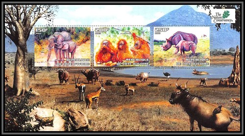 2009 cote ivoire - 2009/,