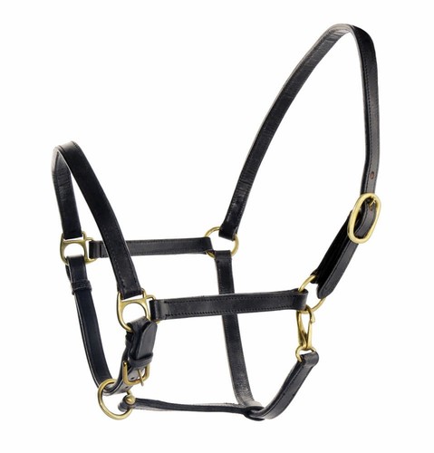 Couvre nuque pour cheval - cheval, en