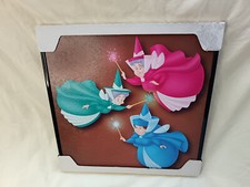 CADRE FEES LA BELLE AU BOIS