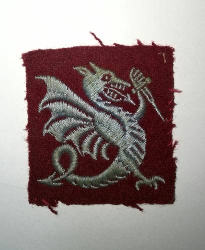 Insigne tissu para 1er - para, rpima