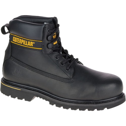 Caterpillar holton - caterpillar,