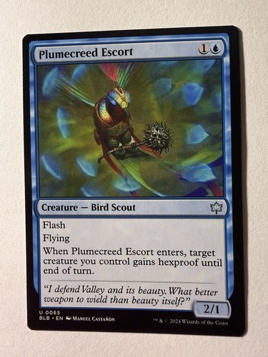 Plumecreed escort - plumecreed,