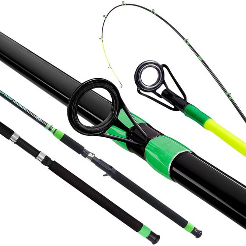 Trophy catfishing rod - catfishing,