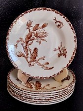 PORCELAINE OPAQUE DE