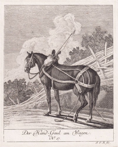 Pferd horse gravure cuivre - gravure,