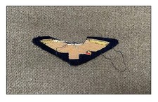 Insigne Pilote armée air aviation patrouille France Paris Chasse veste casque