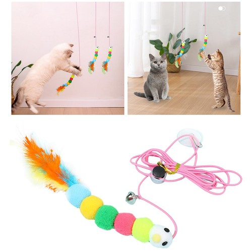 Funny cat teaser - teaser, toy