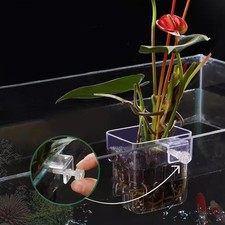 Support de plante d'aquarium