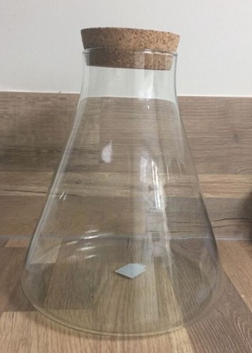 Terrarium verre avec - terrarium,