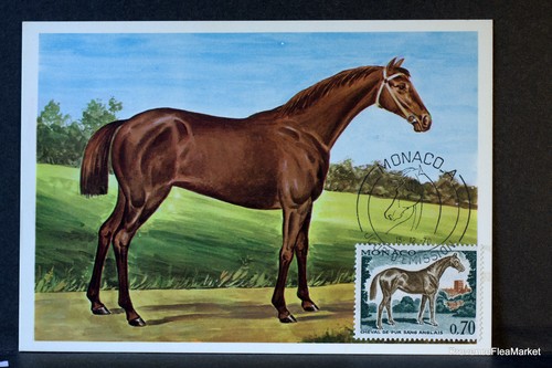 Pur anglais chevaux - pur,