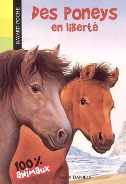 Des poneys liberté lucy - poneys, liberté,