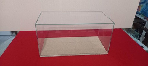 Vitrine cloche protection - vitrine,