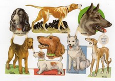 8 chromos découpis anciens