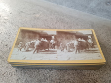 Lot de 17 cartes photos