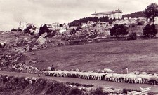 CPA 66 PYRENEES Env. Prades